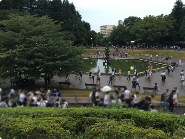 【ポケモンGO】世田谷公園は噴水周辺にミニリュウ出現？